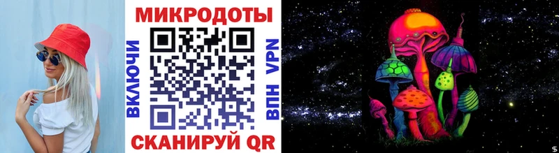 блэк спрут вход  Чадан  Галлюциногенные грибы Psilocybine cubensis  купить закладку 